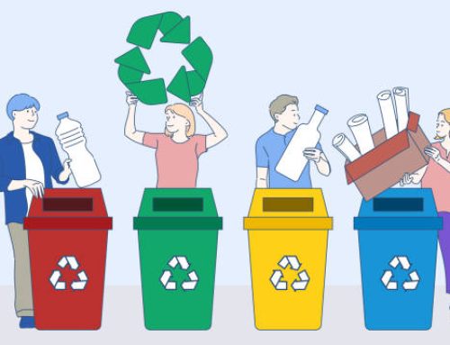 What Is Recycling and Why Does It Matter