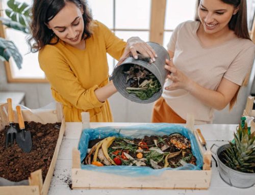 How to Start Composting Step by Step